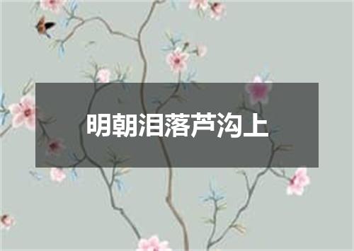 明朝泪落芦沟上
