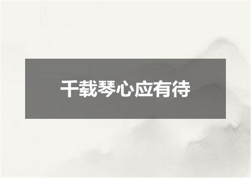 千载琴心应有待