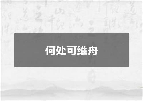 何处可维舟