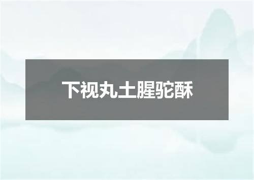 下视丸土腥驼酥