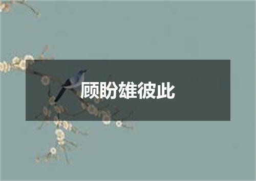 顾盼雄彼此