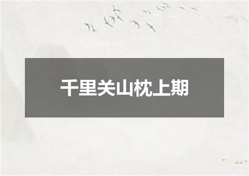 千里关山枕上期