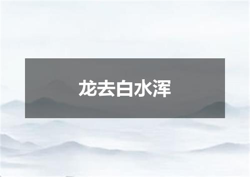 龙去白水浑