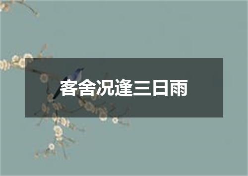 客舍况逢三日雨