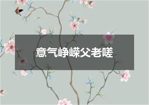 意气峥嵘父老嗟