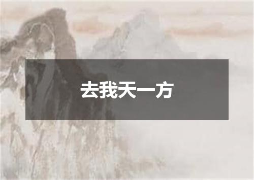 去我天一方