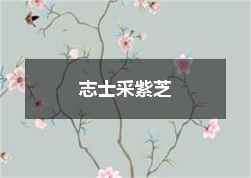 志士采紫芝