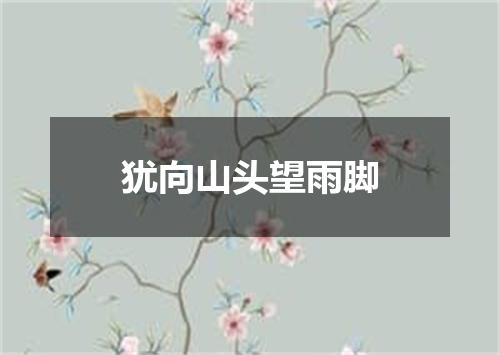 犹向山头望雨脚