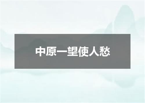 中原一望使人愁