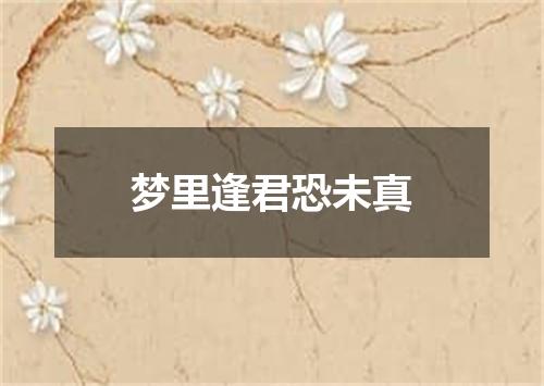 梦里逢君恐未真