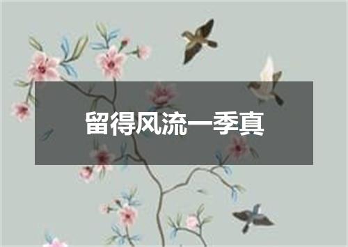 留得风流一季真