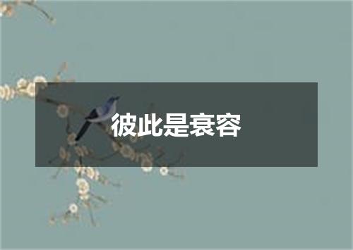 彼此是衰容