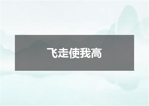 飞走使我高