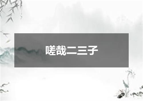 嗟哉二三子