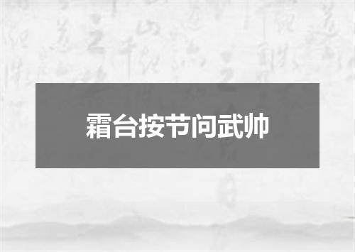 霜台按节问武帅