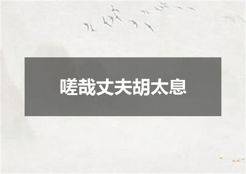 嗟哉丈夫胡太息
