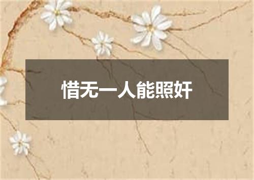 惜无一人能照奸