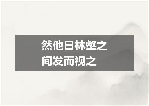 然他日林壑之间发而视之