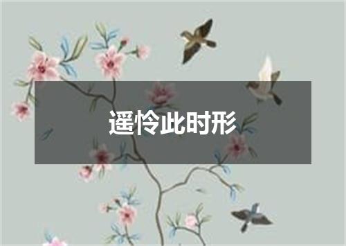 遥怜此时形