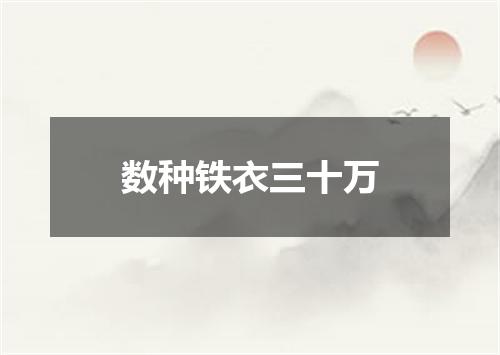 数种铁衣三十万