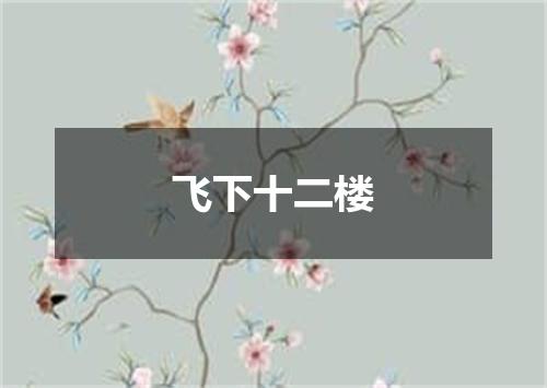 飞下十二楼