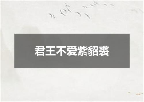 君王不爱紫貂裘