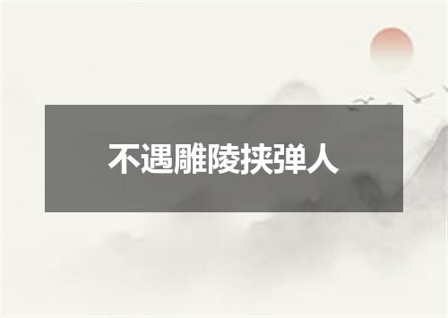 不遇雕陵挟弹人