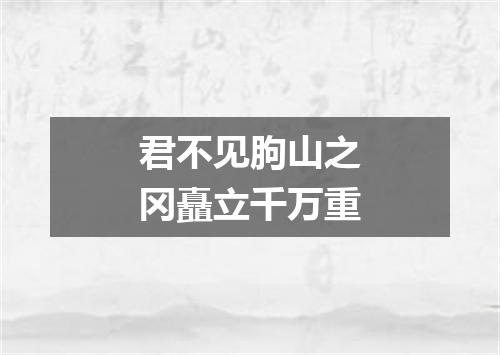 君不见朐山之冈矗立千万重