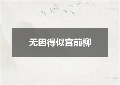 无因得似宫前柳