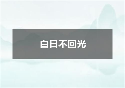 白日不回光