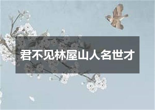 君不见林屋山人名世才