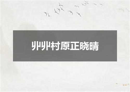 丱丱村原正晓晴