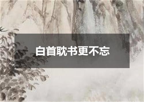 白首耽书更不忘