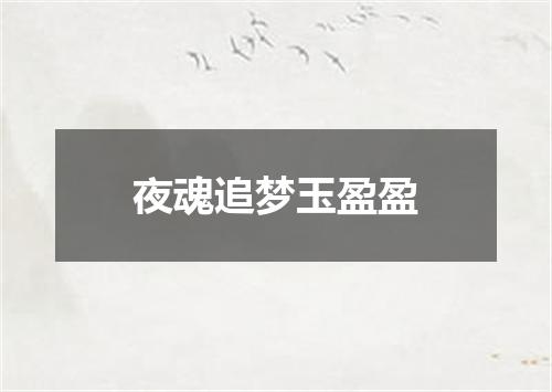 夜魂追梦玉盈盈