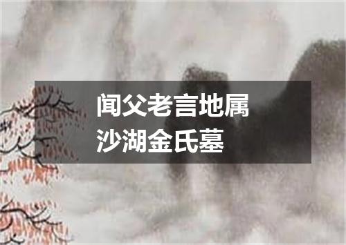 闻父老言地属沙湖金氏墓