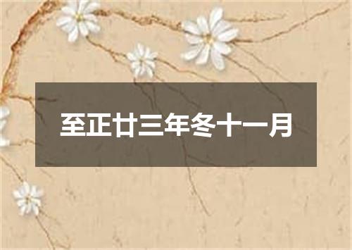 至正廿三年冬十一月