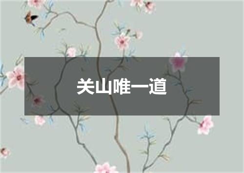 关山唯一道