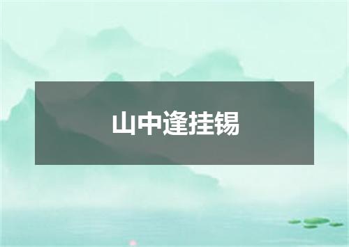 山中逢挂锡