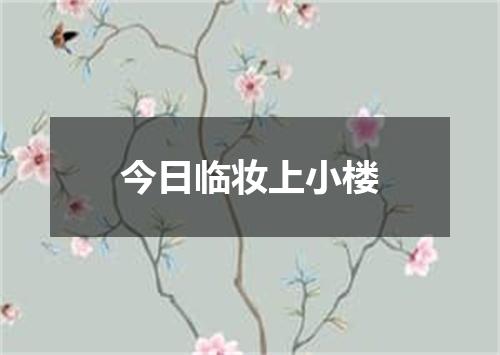 今日临妆上小楼