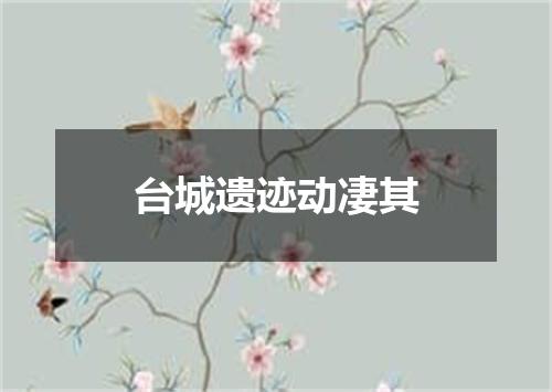 台城遗迹动凄其