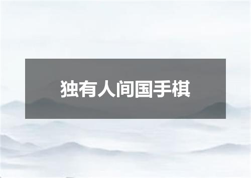 独有人间国手棋