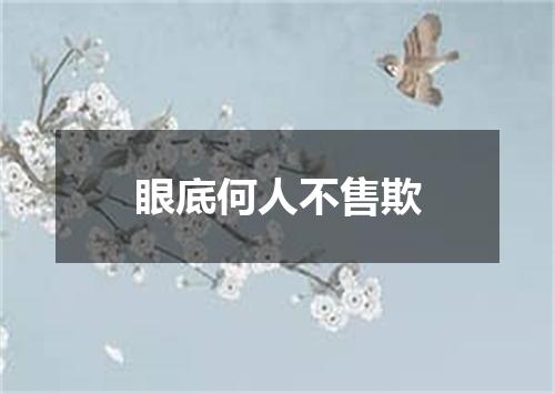 眼底何人不售欺