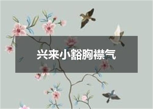 兴来小豁胸襟气