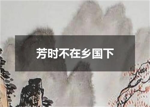 芳时不在乡国下