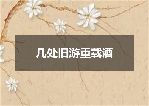 几处旧游重载酒