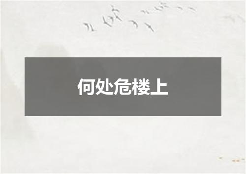 何处危楼上