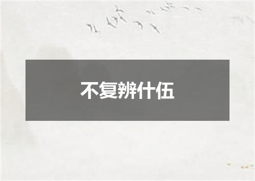 不复辨什伍