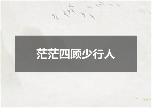 茫茫四顾少行人