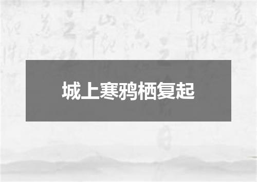 城上寒鸦栖复起