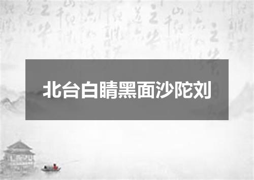 北台白睛黑面沙陀刘